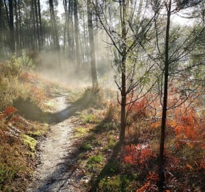 Parcours du Luzou à Bégaar par le Bignaou à VTT - Bégaar - 2