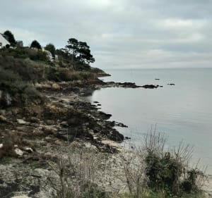 Korte rondleiding door Pointe du Grouin via Port Mer. - Cancale - 2