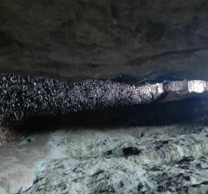 Crevasses et falaises de Chantemerle les grignans - Chantemerle-lès-Grignan - 5