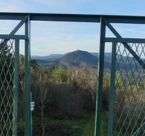 Le sommet du Hahnenberg hors des sentiers battus - Châtenois - 2