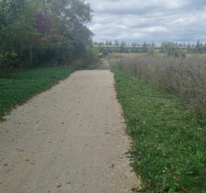 Chemin de halage - de la confluence à Neuville - Oktay - 5