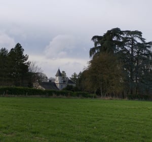 Balade de la Membrolle sur Choisille vers Saint Cyr/Loire - La Membrolle-sur-Choisille - 2