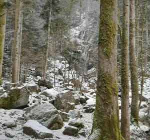 De la grande cascade à petite cascade de Tendon - Le Tholy - 2