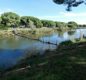 Balade autour du golf de la LGM - La Grande-Motte - 2