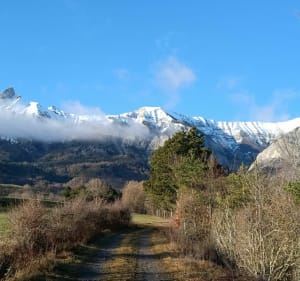 Le long des torrents de Brutinel, sous l'Aiguille de Laye - la Fare  en Champsaur - 2