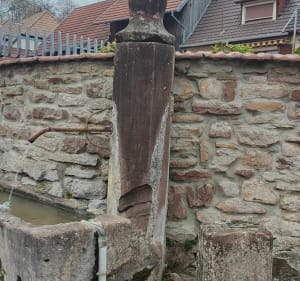 Boucle depuis Osenbach - Decathlon - 5