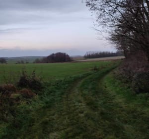 Randonnée sur les chemins de Genvry - Genvry - 2