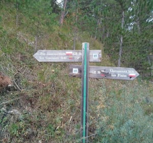 Le Mont Guillaume à Embrun - Francoise  - 5