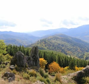 Sommet du Grand Ballon depuis Geishouse - Geishouse - 2