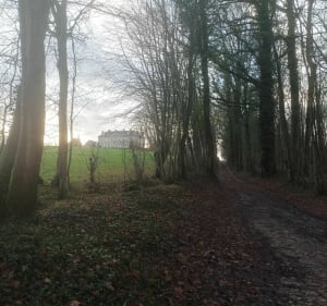Forêt de Mercatel - Saint-Samson-la-Poterie - 2