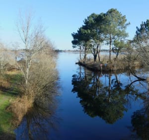 Rondleiding door de kleine vijver van Biscarosse - Biscarrosse - 2