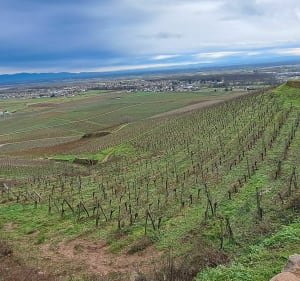 Balade sur les hauteurs de Guebwiller - Guebwiller - 2