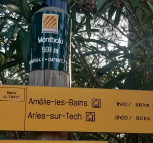 Par les sentiers de Montagne vers Montbolo et Palalda - Pascale - 2