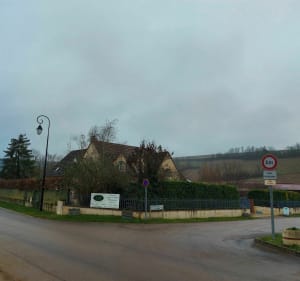 Boucle dans les Bois de Milly - Beine - 2