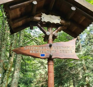 De Metzeral au sommet du Hohneck - Metzeral - 4