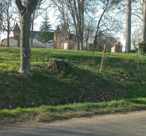 Beaux villages Bressans - Bâgé-le-Châtel - 5