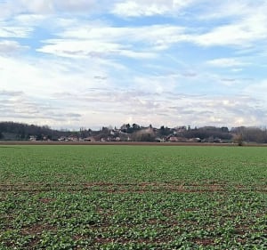 Plaine de Saône et Source Saint-André - Glanon - 2