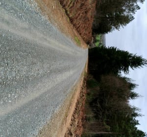 Berrien Trénivel par la forêt de Huelgoat - Berrien - 4