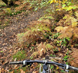 Single vtt autour de Port Royal - MADELEINE - 2