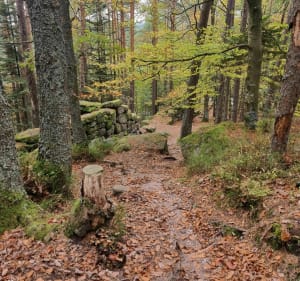 Mont saint Odile, Le Mur païen sud - Jacky clauss - 3
