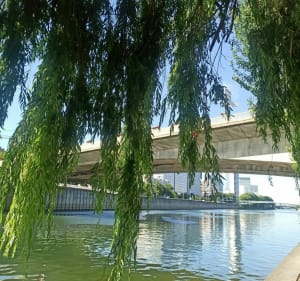 Rondleiding over het eiland Puteaux via de voetgangersbrug - Puteaux - 2
