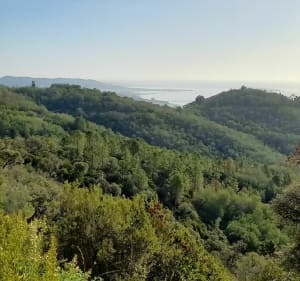 Domaine du Grand Duc depuis Mandelieu - Decathlon - 3