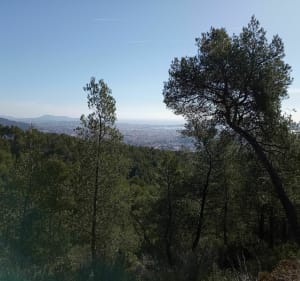 Boucle les bonnes herbes le Baou - Toulon - 2