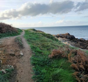 Sur les traces de notre histoire, landes et littoral Cotentin - Fermanville - 2