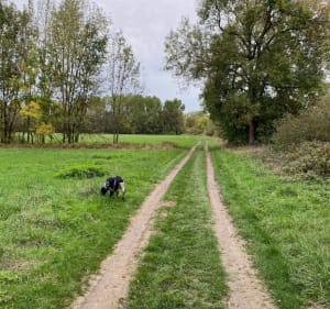 La Palu et la balade le long de la Charente - Saintes - 2