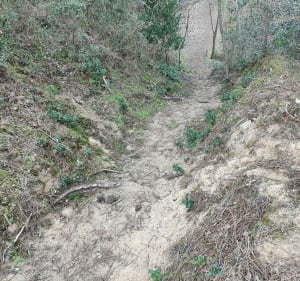 A la recherche du menhir à Olonne sur Mer - Olonne sur Mer - 2