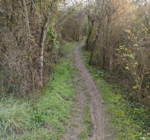 Promenade au bois de la ville de Corbarieu - Jessica - 2
