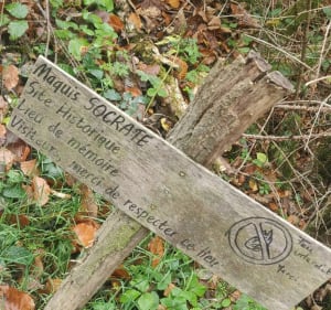 Sur les traces du maquis et des champis - Laurent - 3