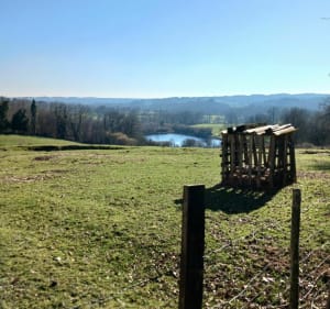 La tombe du marchand - Chamboret - 2