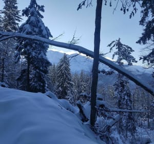 Dans la neige du Lavouet à Barmus et retour à Plaine-Joux - Passy - 2