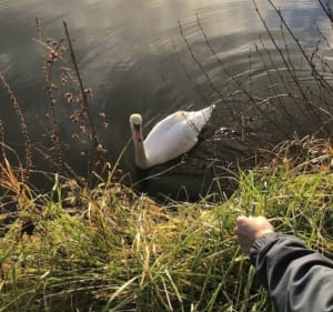 Petite balade familiale le long du canal - Joigny - 2