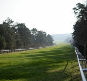 Boucle de l'Hippodrome de la Solle - Fontainebleau - 2