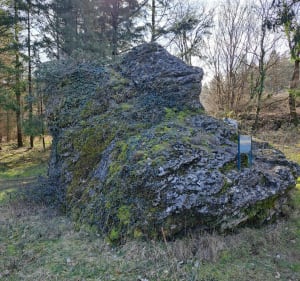 Tour des communaux à Trept - Trept - 3