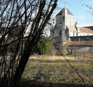 Balade dans les bois de Nouaillé Maupertuis - Nouaillé-Maupertuis - 2
