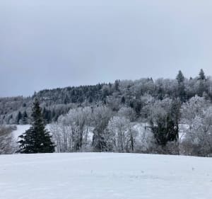 Au tour de l’étang du moulin à pieds ou en raquettes - Les Fontenelles - 2