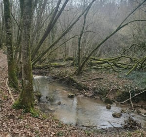 Lussc les châteaux Bords de Vienne et vallon de l'âge - Jean-Paul - 3