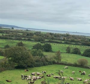 Balade entre campagne et bord de mer normand - Decathlon - 3