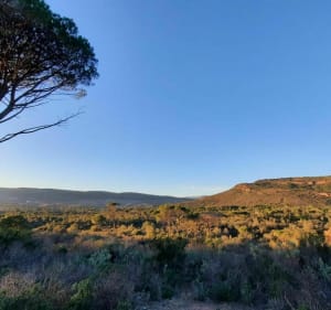 Promenade Forêt Domaniale de la Colle du Rouet - Luc - 3