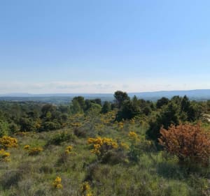 La rando des Mages - Les Mages - 2