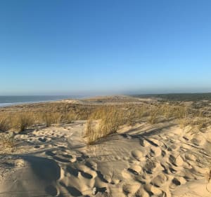 Le Porge Océan et sa plage - Le Porge - 3