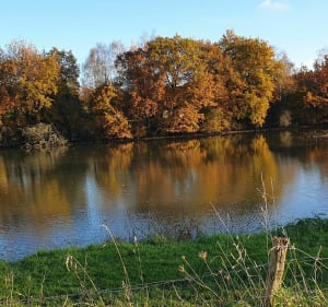 Sur les hauteurs de Fléré - Fléré-la-Rivière - 2