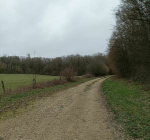 Balade près des Ulm à Fains Veel - Fains-Véel - 2