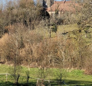 La Chapelle-sur-Furieuse - Ivrey par Les Anciennes Tuileries - Evelyne - 4