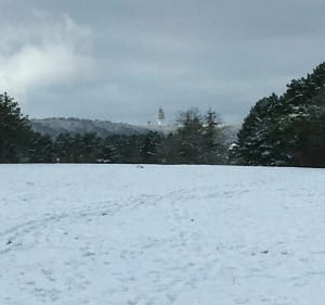 Très longue balade dans les combes autour de Dijon - Dijon - 2