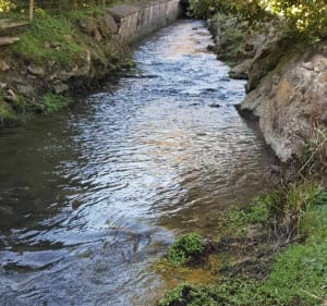 Le long du Mont Myrrah - Falaise - 2