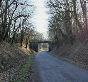 Les Herbiers - Mouchamps - Les Herbiers - 3